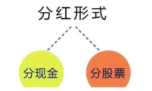 国晟科技未来三年股东分红回报规划稳健增长与持续回报