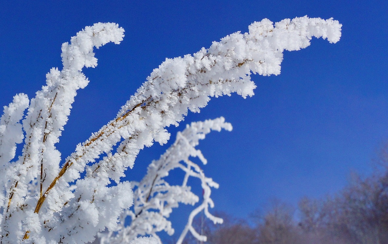 山西大同突降大雪，游客白了头——冬日雪域的独特魅力