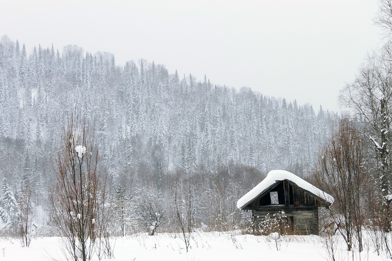 旅俄大熊猫一掌打翻雪人，中俄友谊下的精彩瞬间