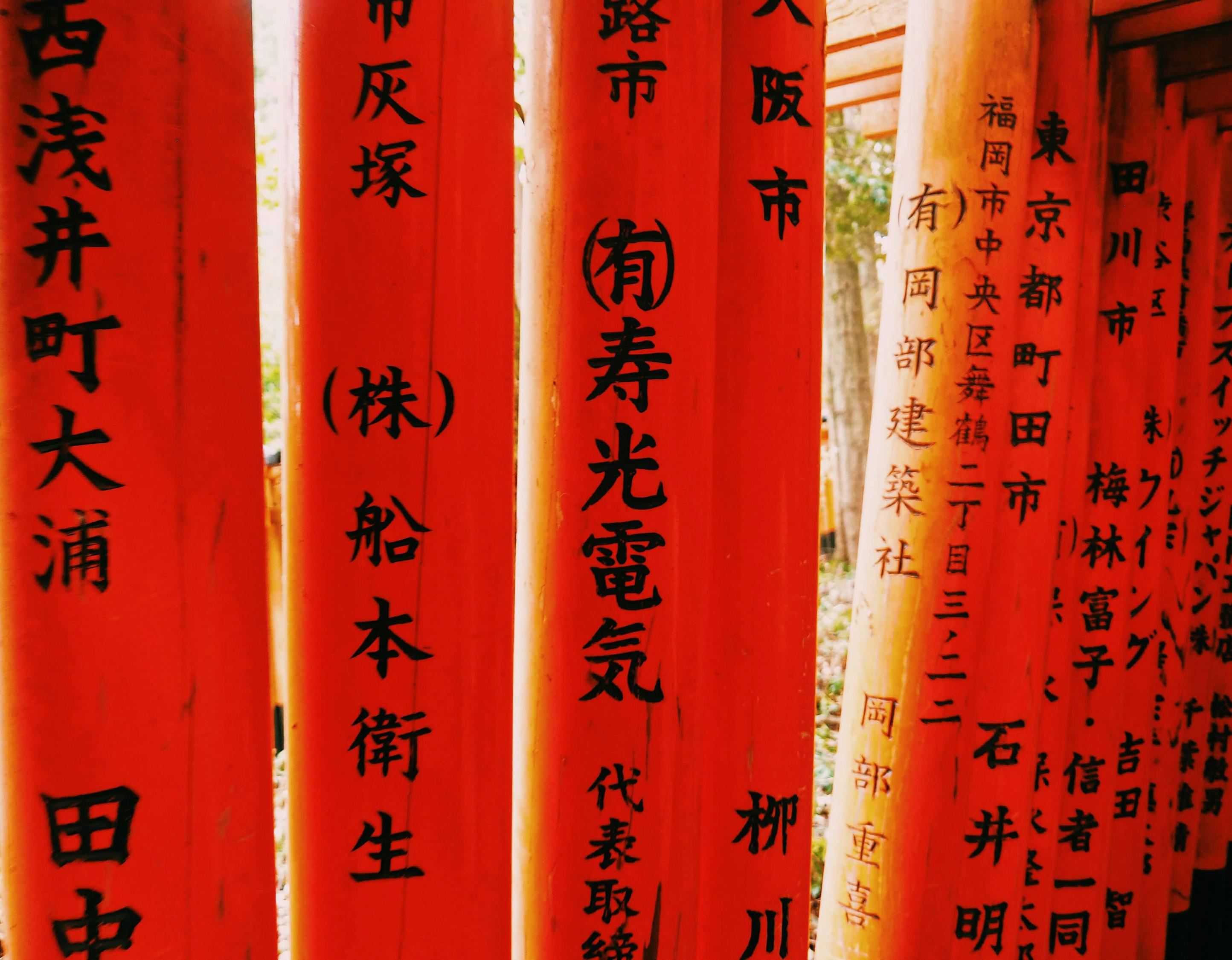 笔尖上的味道，探索美食文化书法作品的魅力
