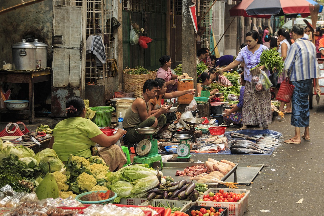 美食鉴赏课心得，味觉之旅与文化探索